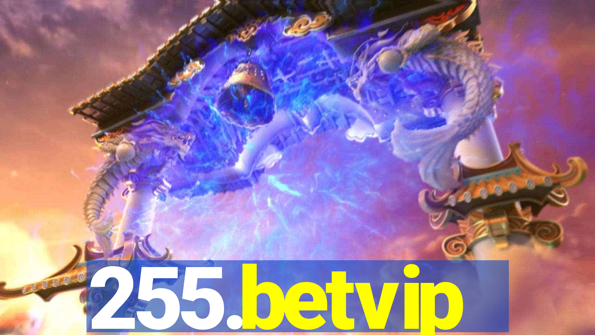 255.betvip
