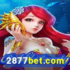 2877bet.com