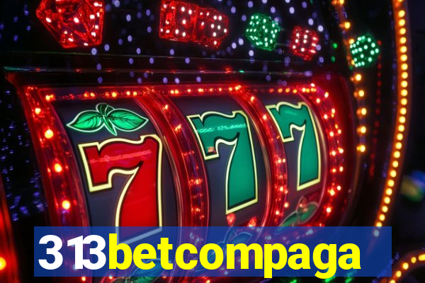 313betcompaga