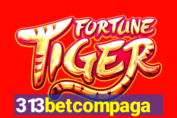 313betcompaga
