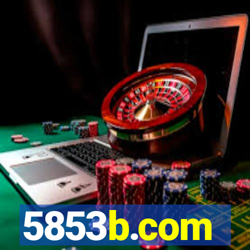 5853b.com