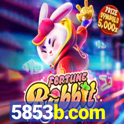 5853b.com