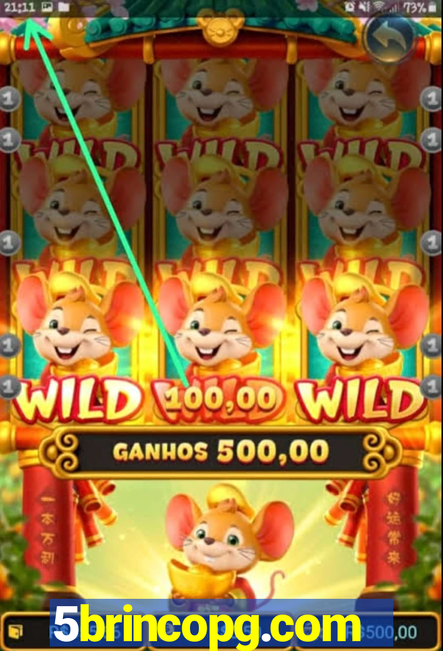 5brincopg.com