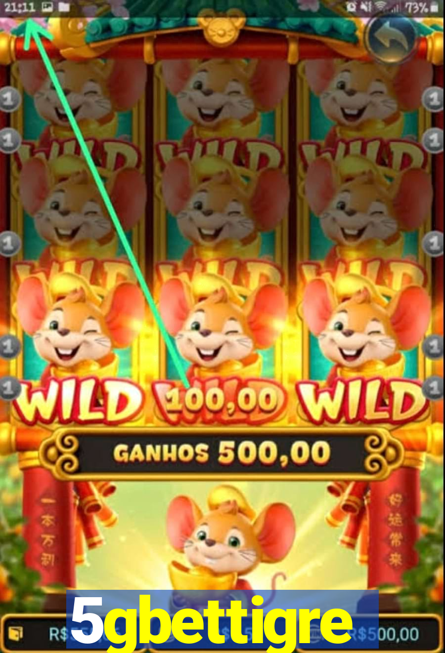 5gbettigre