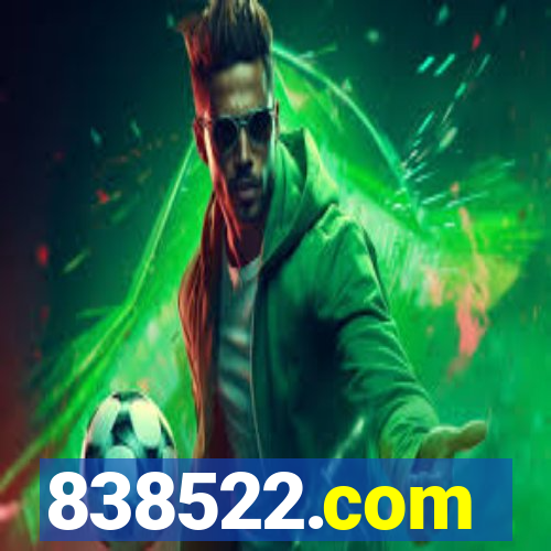 838522.com