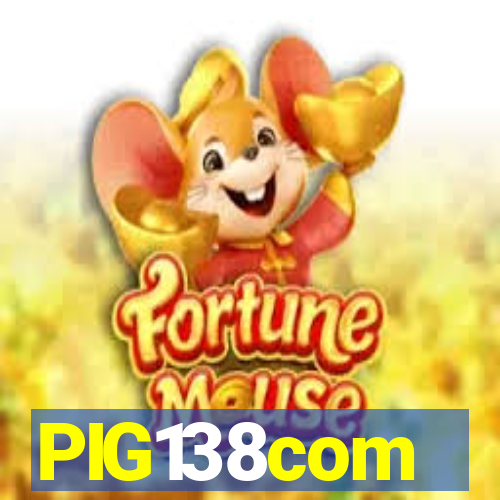 PIG138com