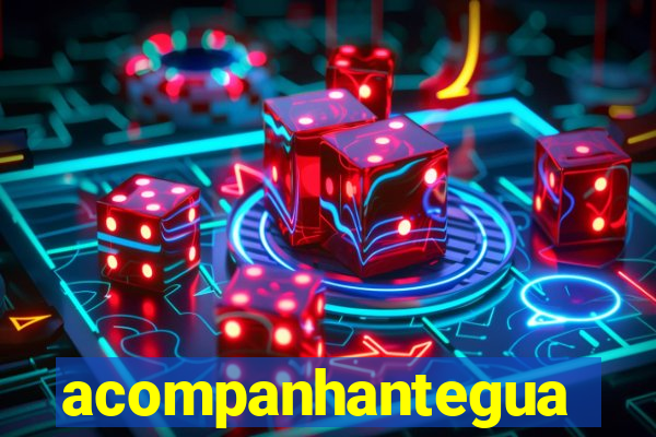 acompanhanteguanambi