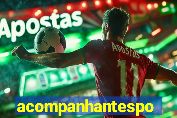 acompanhantesportovelho