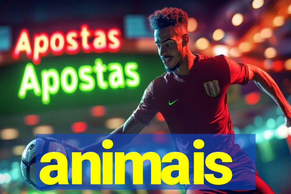 animais-pg.com