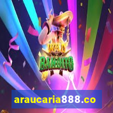 araucaria888.com