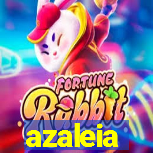 azaleia-br.com