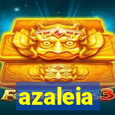 azaleia-br.com