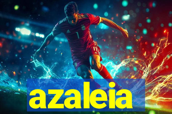azaleia-br.com