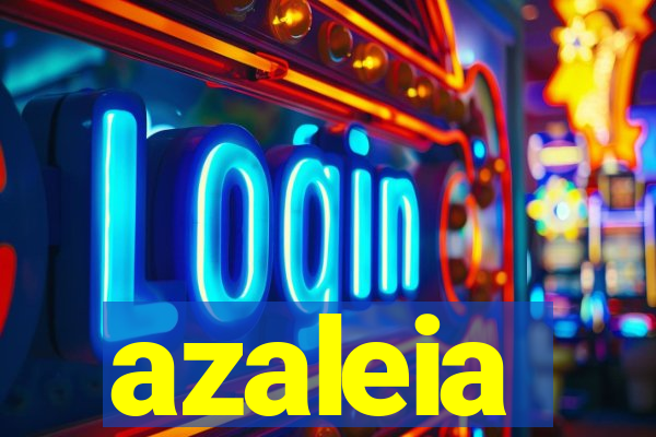 azaleia-br.com