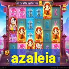 azaleia-br.com