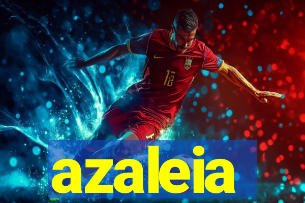 azaleia-br.com