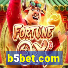 b5bet.com