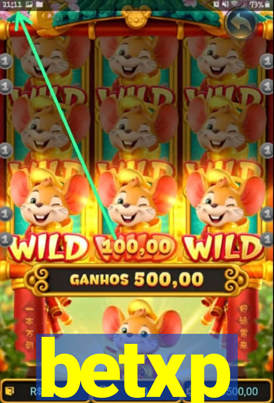betxp