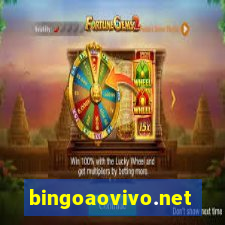 bingoaovivo.net