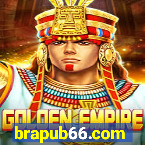 brapub66.com