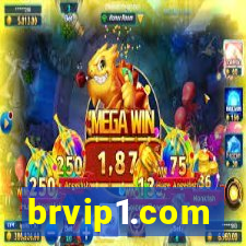 brvip1.com