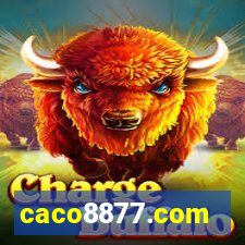 caco8877.com