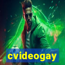cvideogay