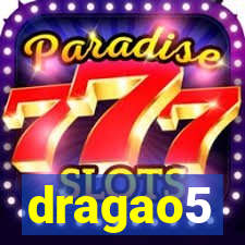 dragao5