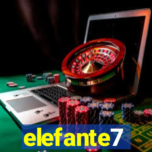 elefante7