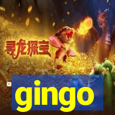 gingo