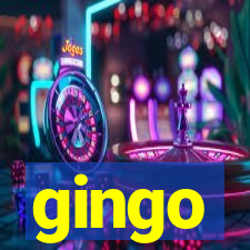 gingo