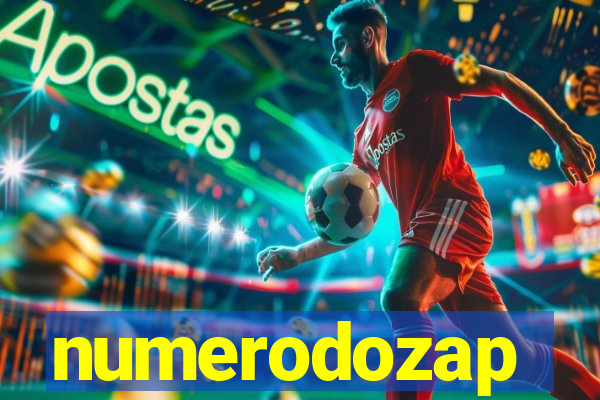 numerodozap