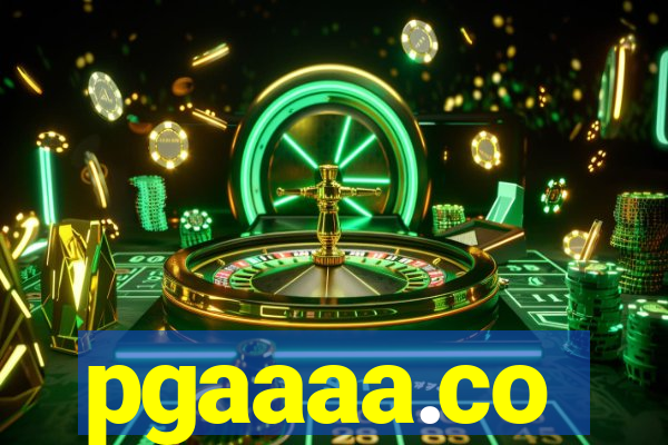 pgaaaa.co