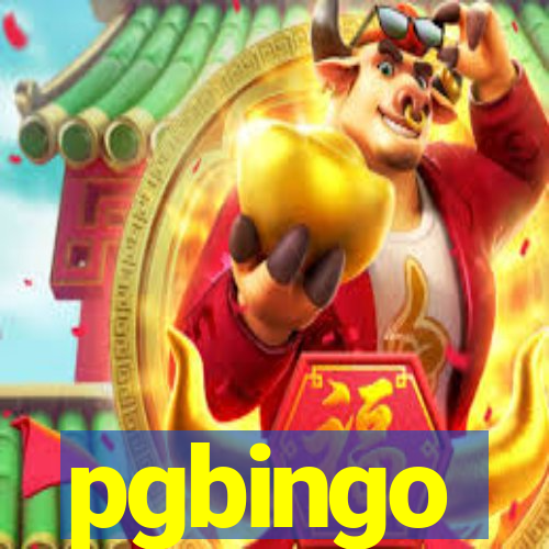 pgbingo