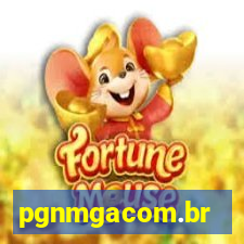 pgnmgacom.br