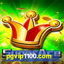 pgvip1100.com