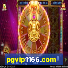 pgvip1166.com