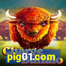 pig01.com
