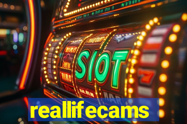 reallifecams