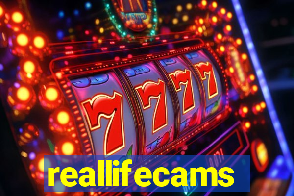 reallifecams