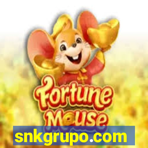 snkgrupo.com