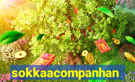 sokkaacompanhantes