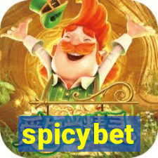 spicybet-2.com
