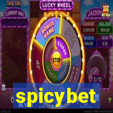 spicybet-2.com