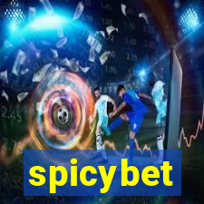 spicybet-3.com