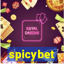 spicybet-3.com