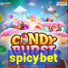 spicybet-4.com