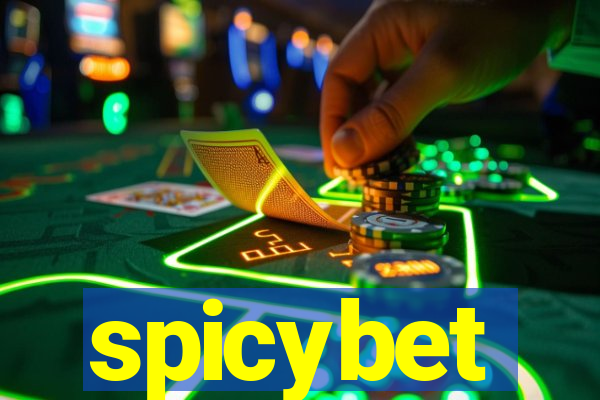 spicybet-4.com