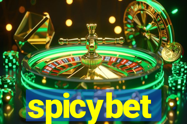spicybet-4.com