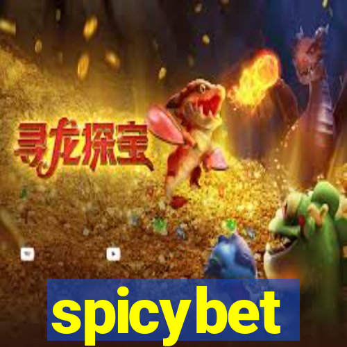 spicybet-4.com